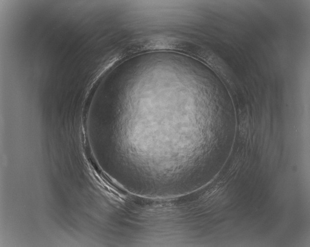 X0000058800386200509301213