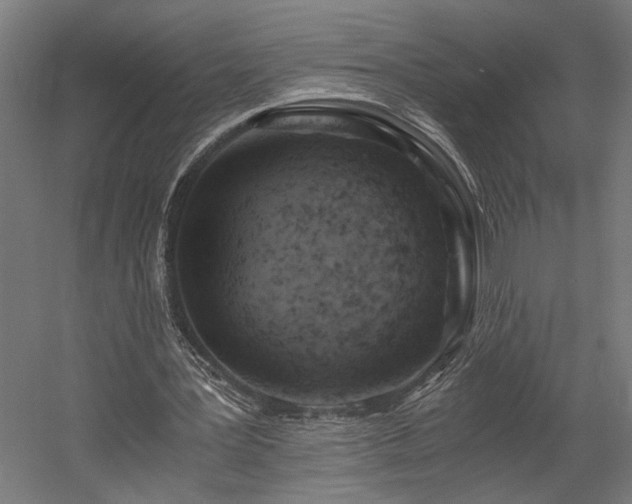 X0000058800387200509301213