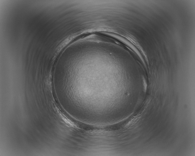 X0000058800389200509301213