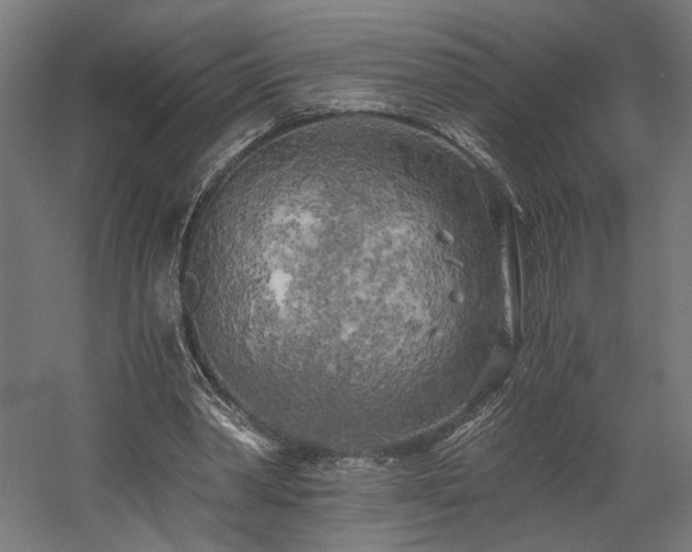X0000058800390200509301213