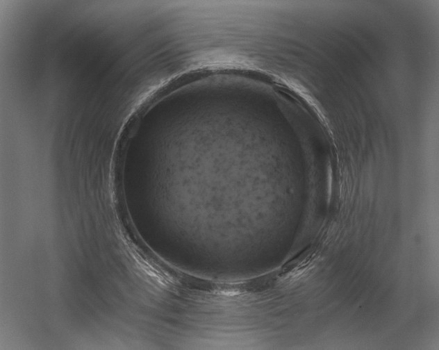 X0000058800391200509301213