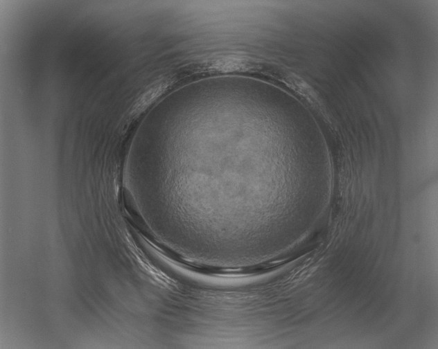 X0000058800393200509301213