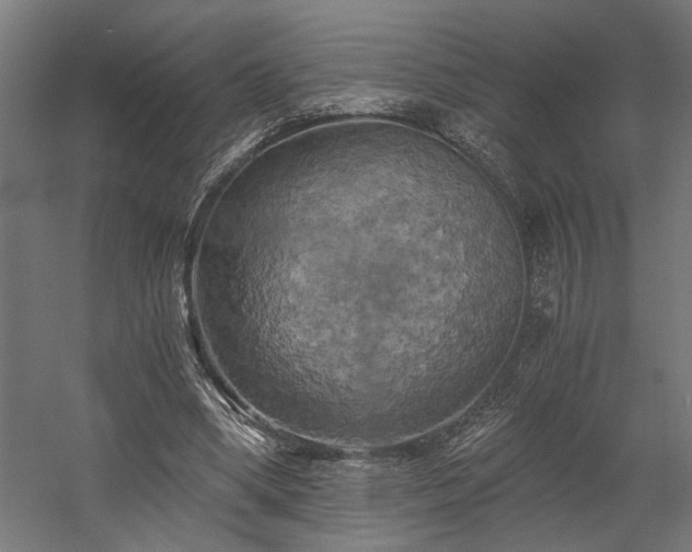 X0000058800394200509301213