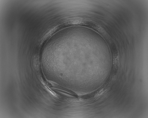 X0000058800397200509301213