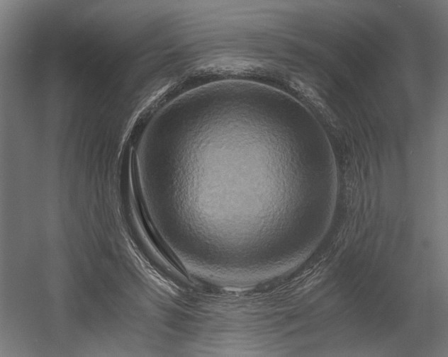 X0000058800399200509301213