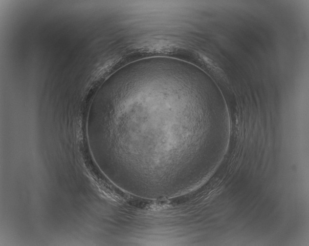 X0000058800403200509301212