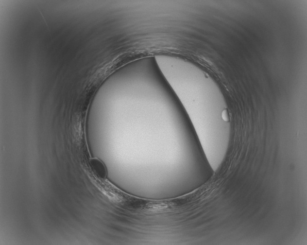 X0000058800405200509301212