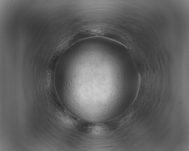 X0000058800412200509301212