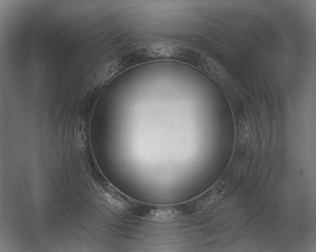 X0000058800414200509301212