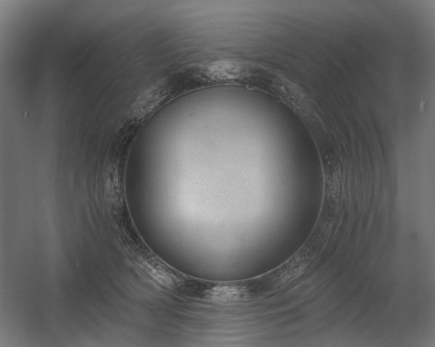 X0000058800418200509301212