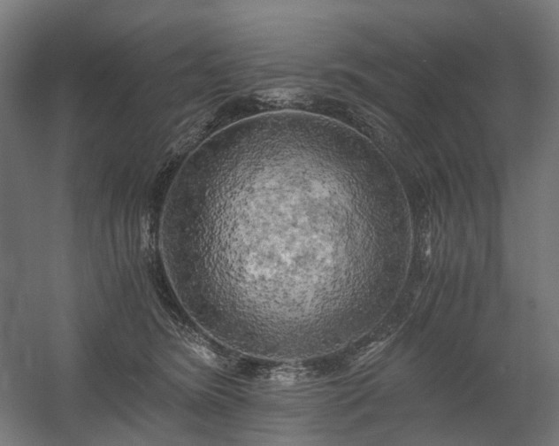 X0000058800420200509301212