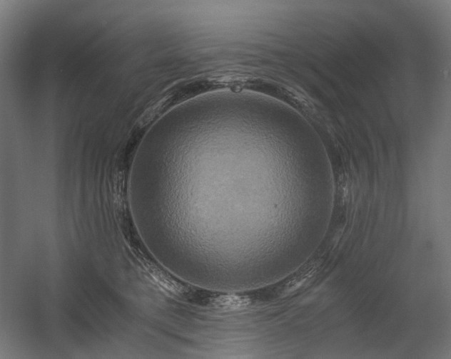 X0000058800421200509301212
