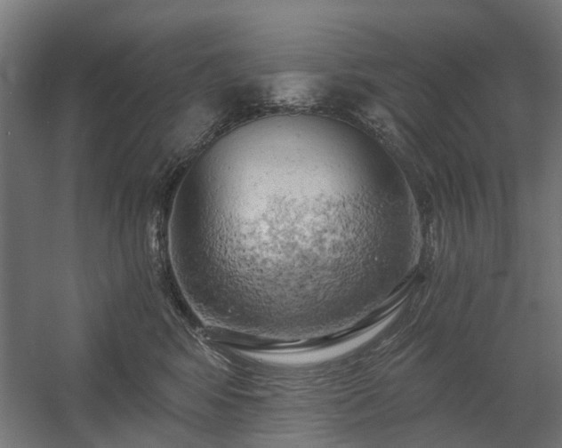X0000058800424200509301212
