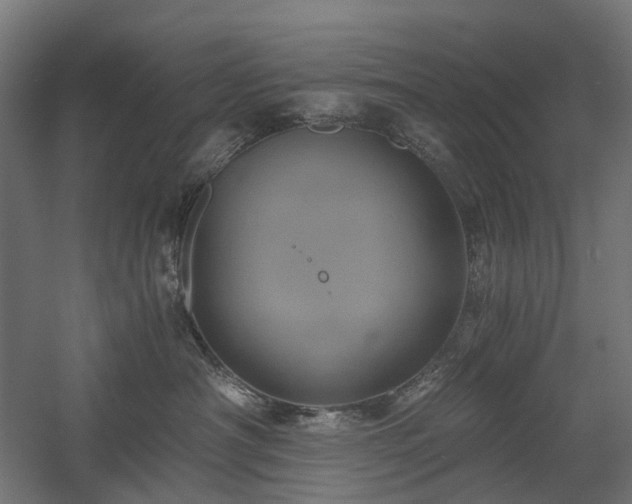 X0000058800430200509301212