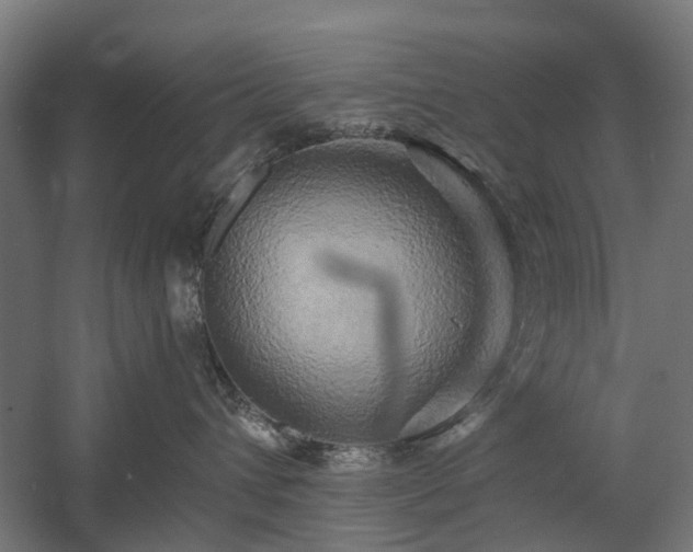 X0000058800432200509301212