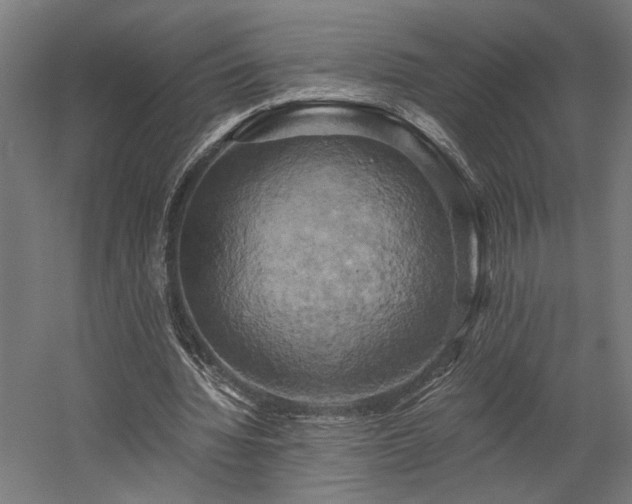 X0000058800436200509301211