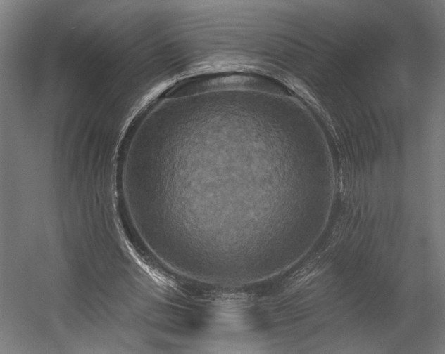 X0000058800438200509301211