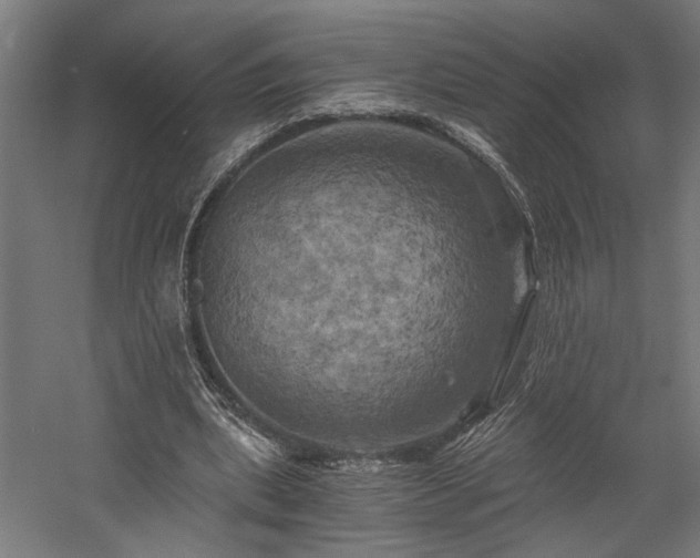 X0000058800439200509301211