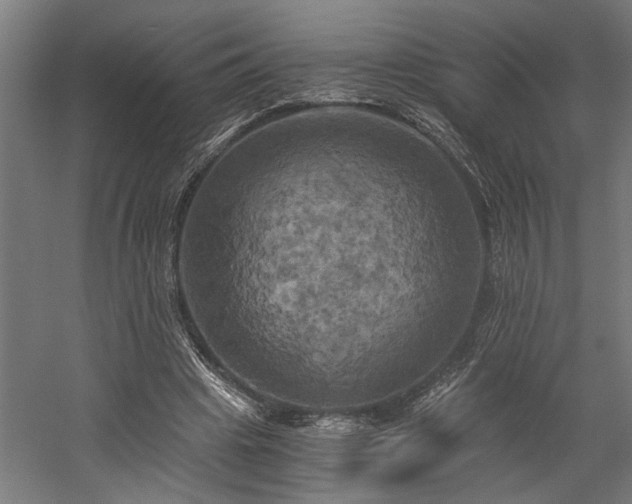 X0000058800441200509301211