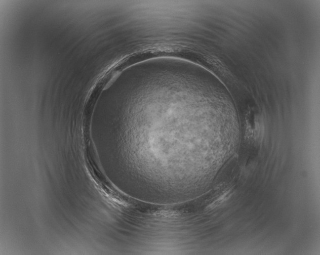 X0000058800444200509301211