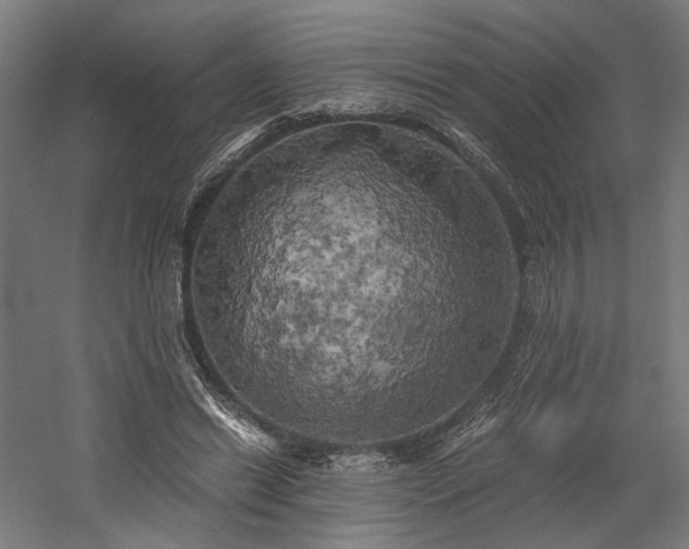 X0000058800446200509301211