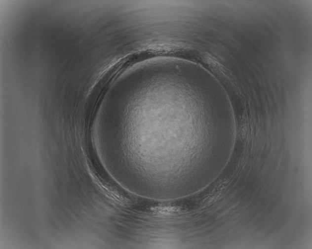 X0000058800448200509301211