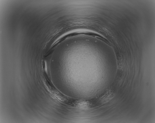 X0000058800456200509301212