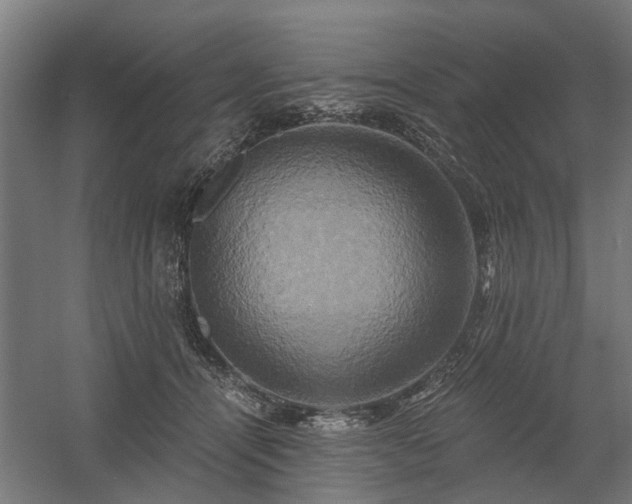 X0000058800464200509301212