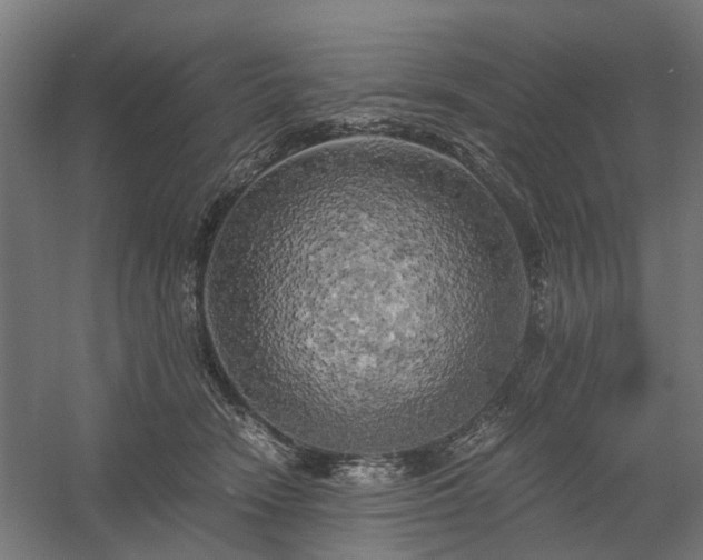 X0000058800466200509301212