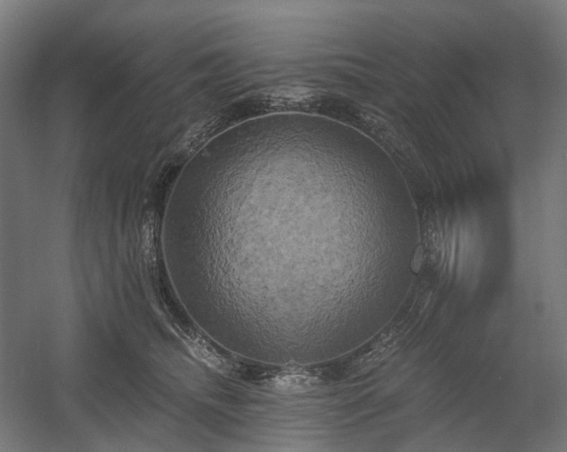 X0000058800468200509301212