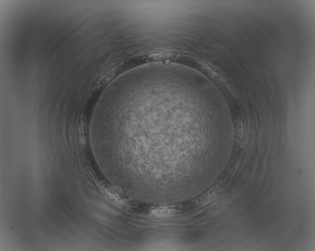 X0000058800470200509301212