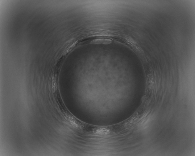 X0000058800471200509301212