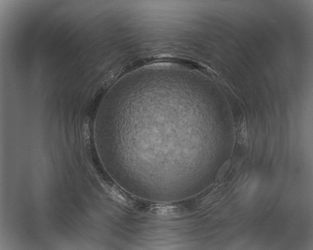 X0000058800472200509301212