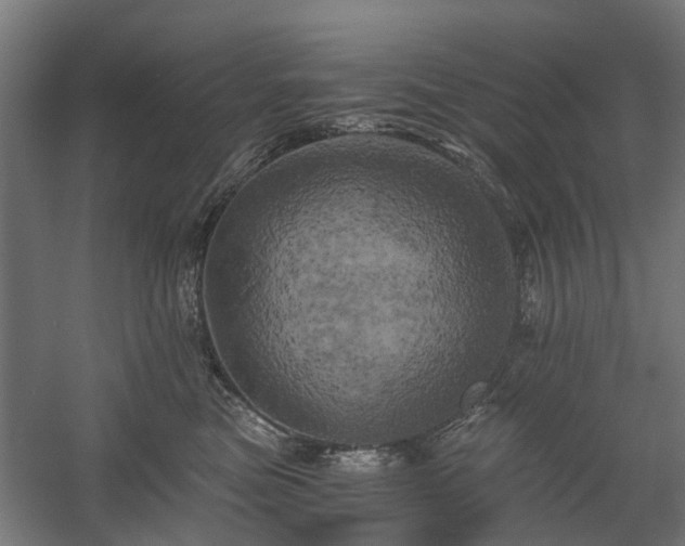 X0000058800473200509301212
