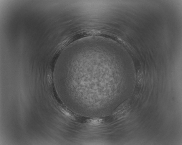 X0000058800474200509301212