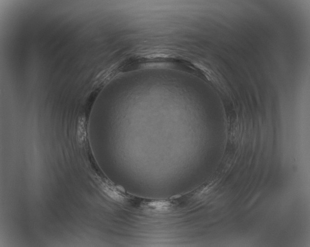X0000058800478200509301212