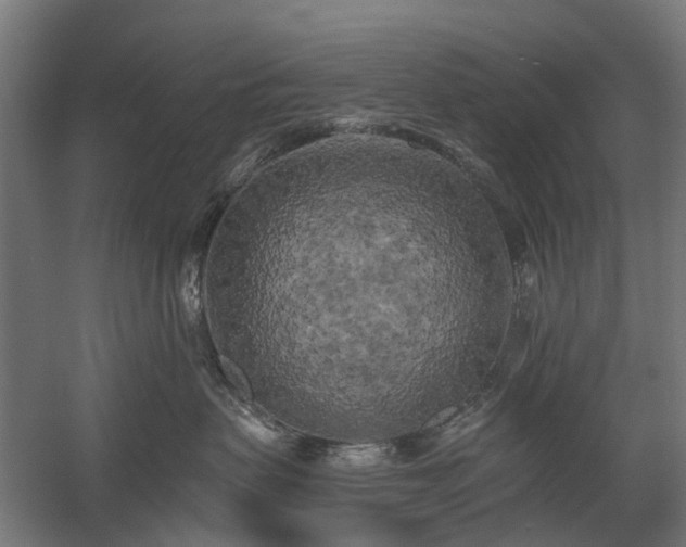 X0000058800479200509301212