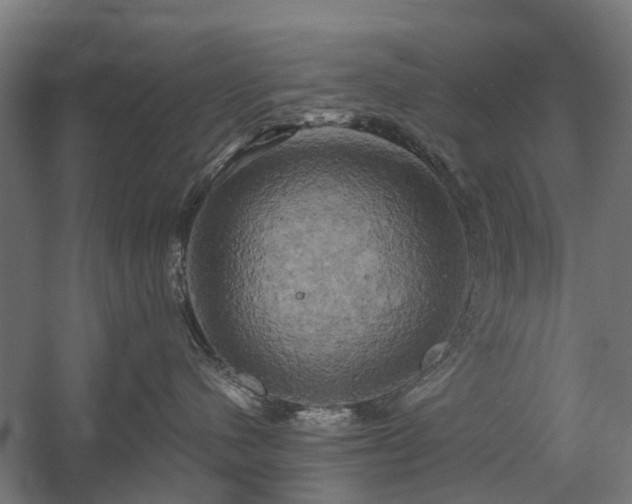 X0000058800480200509301212