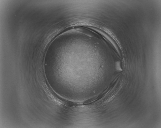X0000058800481200509301211
