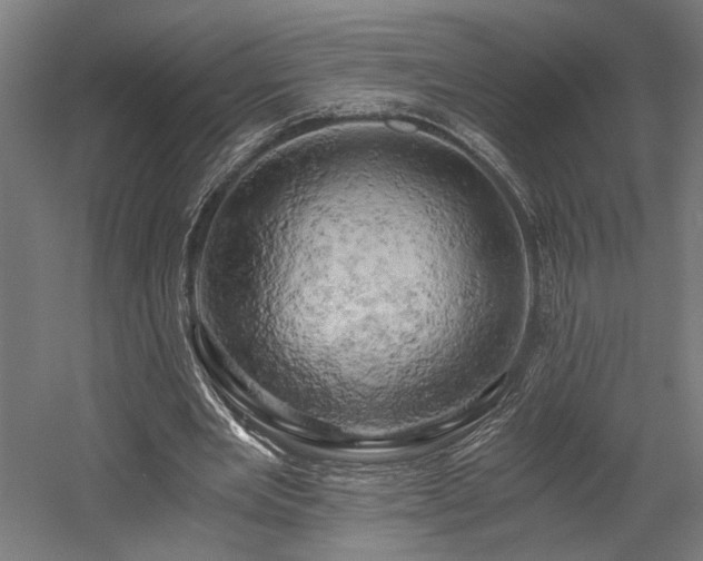 X0000058800485200509301211