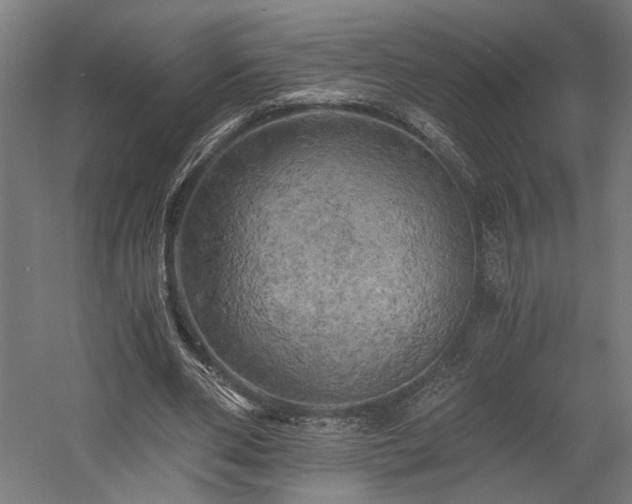 X0000058800486200509301211
