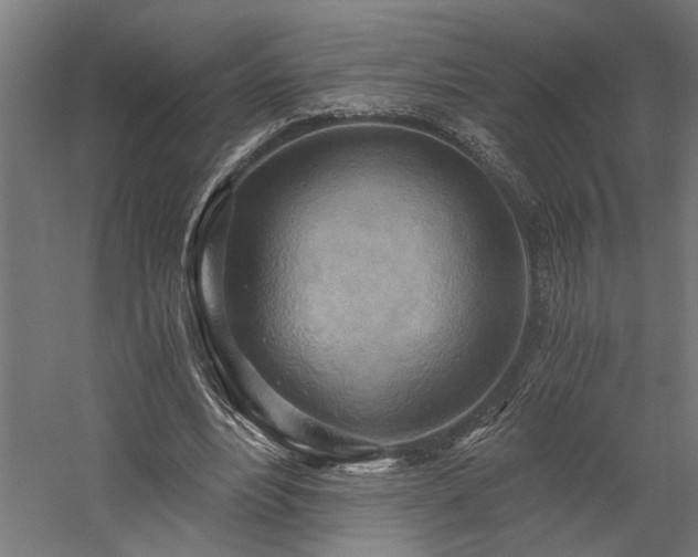 X0000058800488200509301211
