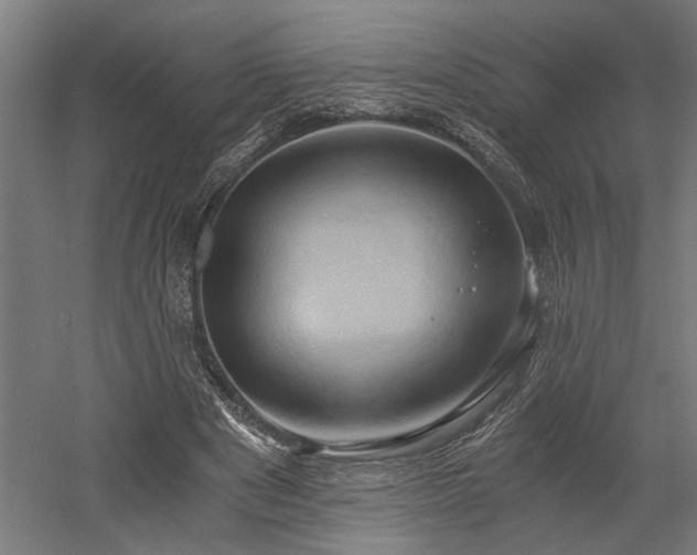 X0000058800489200509301211