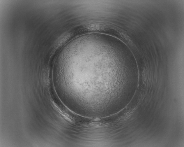 X0000058800490200509301211