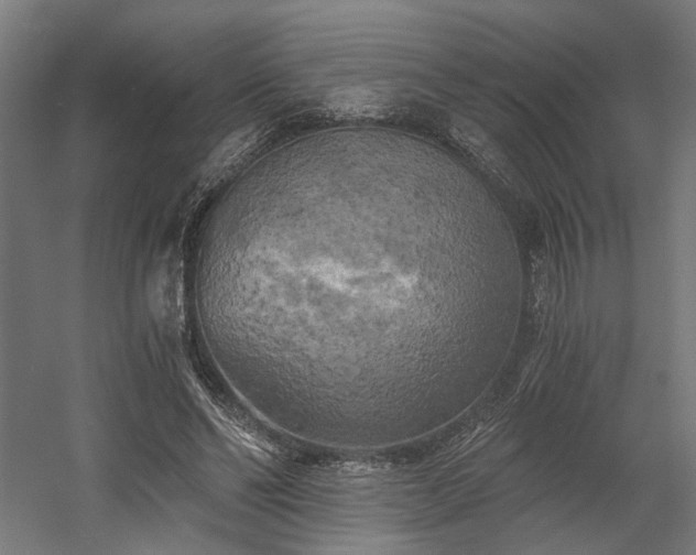 X0000058800494200509301211