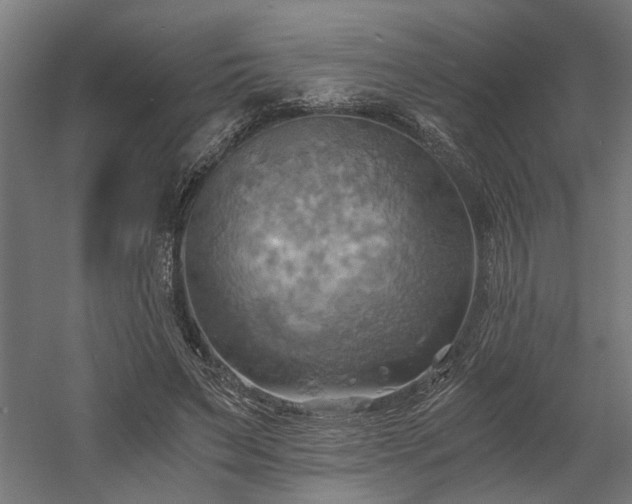 X0000058800495200509301211