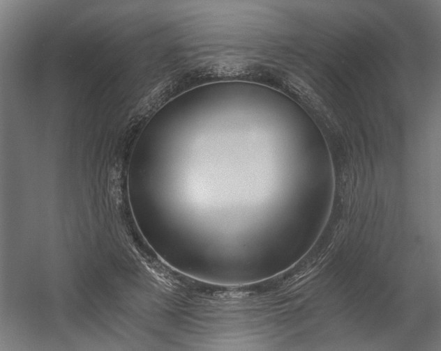 X0000058800497200509301211