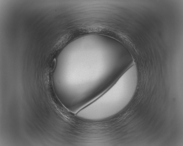 X0000058800501200509301211
