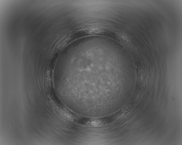 X0000058800506200509301211