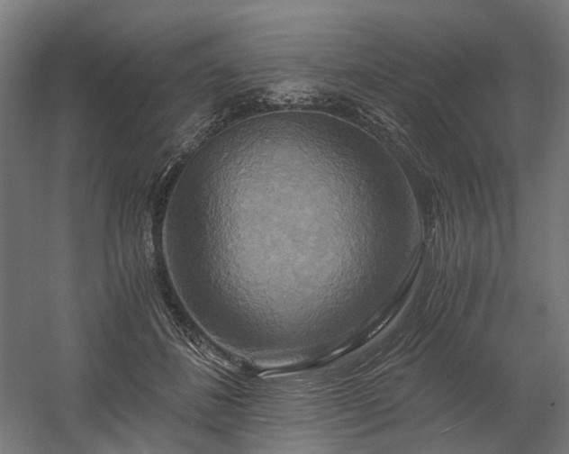 X0000058800508200509301211